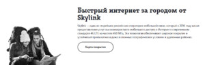 Skylink-300x96.jpg